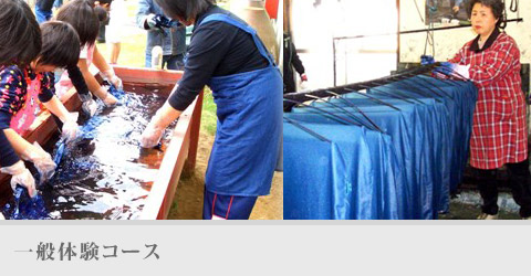 ��ʑ̌��R�[�X