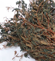 ���̊����t