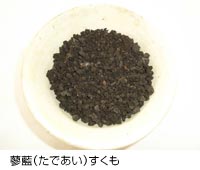 �^�f���������̎ʐ^